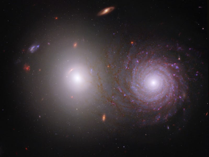 This image, showing an elliptical galaxy (left) and a spiral galaxy (right) includes near-infrared l...