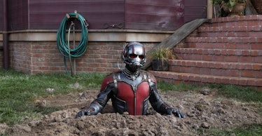 Ant-Man in the MCU