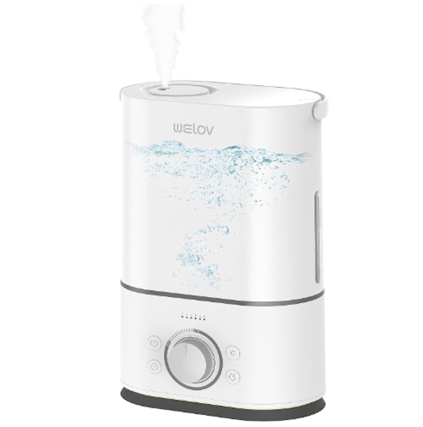 WELOV Cool Mist Humidifier