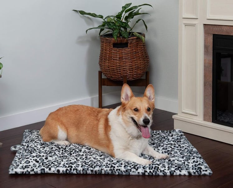 Furhaven ThermaNAP Self-Warming Pet Bed