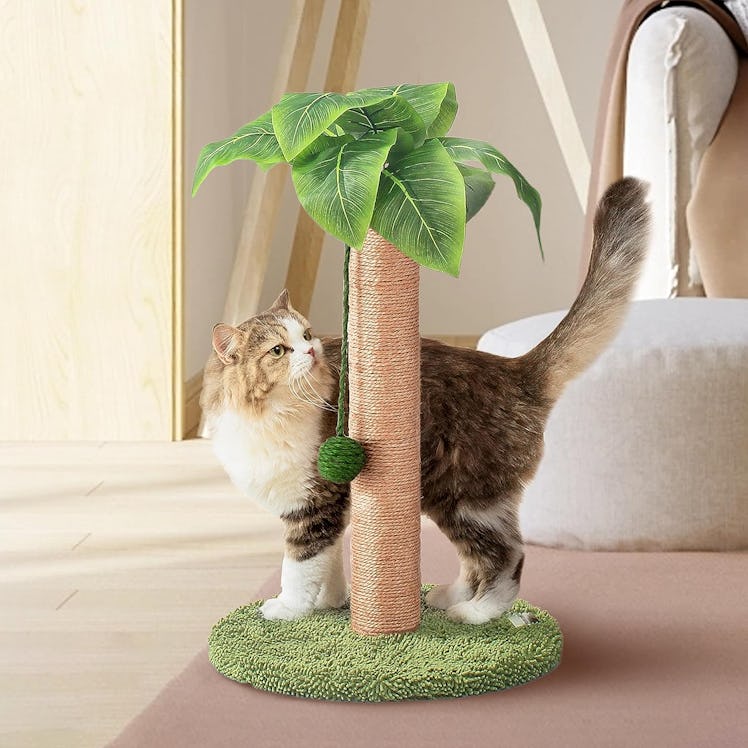 Meowoou Cat Scratching Post