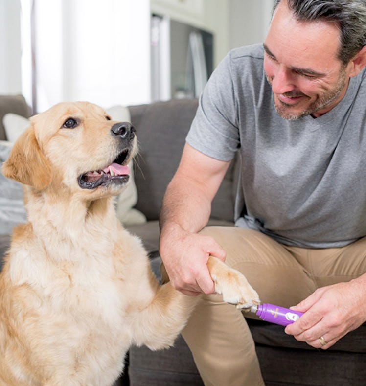 Hertzko Electric Dog Nail Grinder