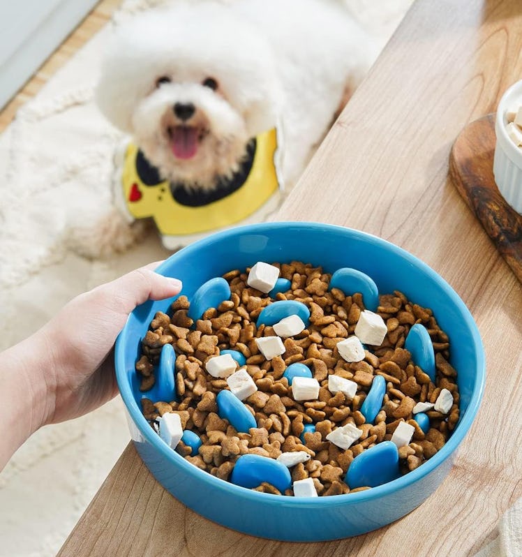 LE TAUCI Ceramic Slow Feeder Dog Bowl