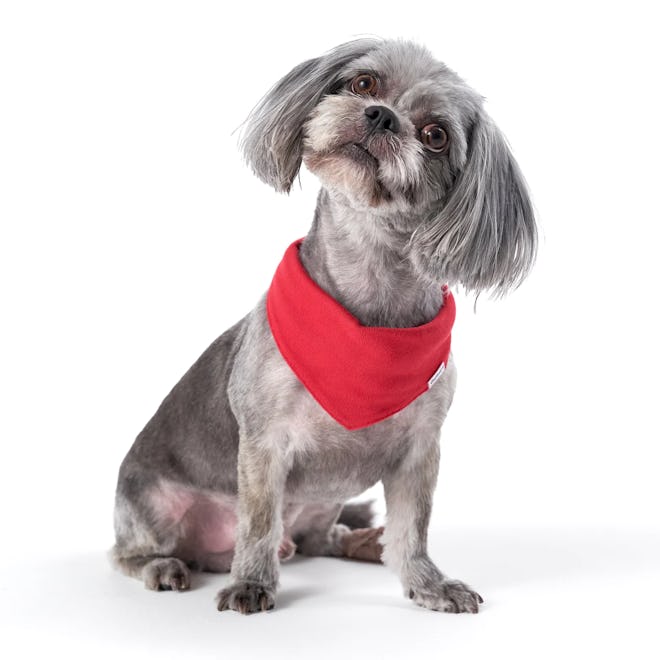 Red Pet Bandana, perfect for dog and baby matching christmas pajamas