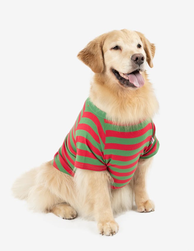 Dog Red & Green Stripes Pajamas, matching dog and baby christmas pajamas