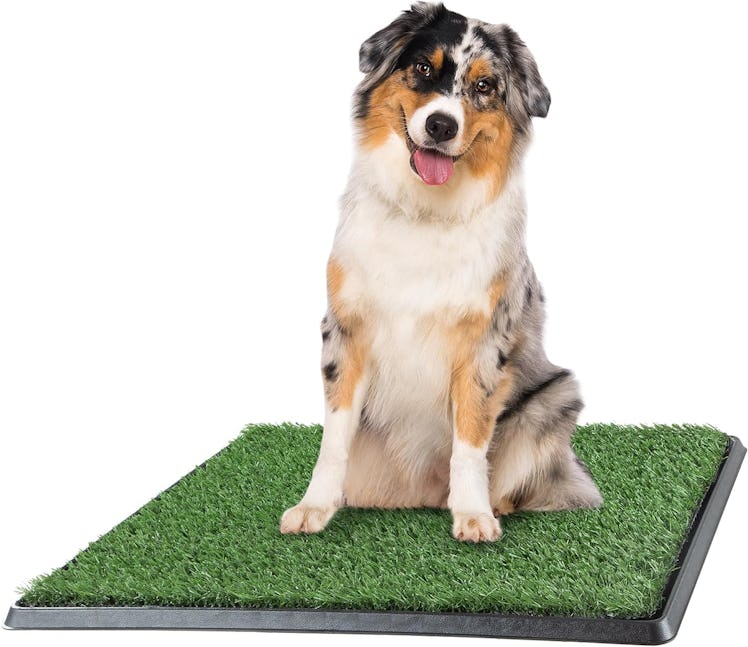 PETMAKER Artificial Grass Puppy Pad