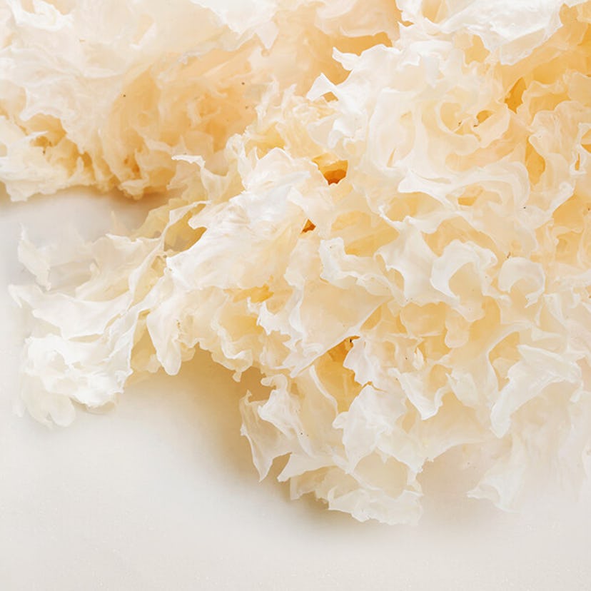 Tremella fuciformis, otherwise known as snow mushroom or tremella mushroom, is a buzzy skin care ing...