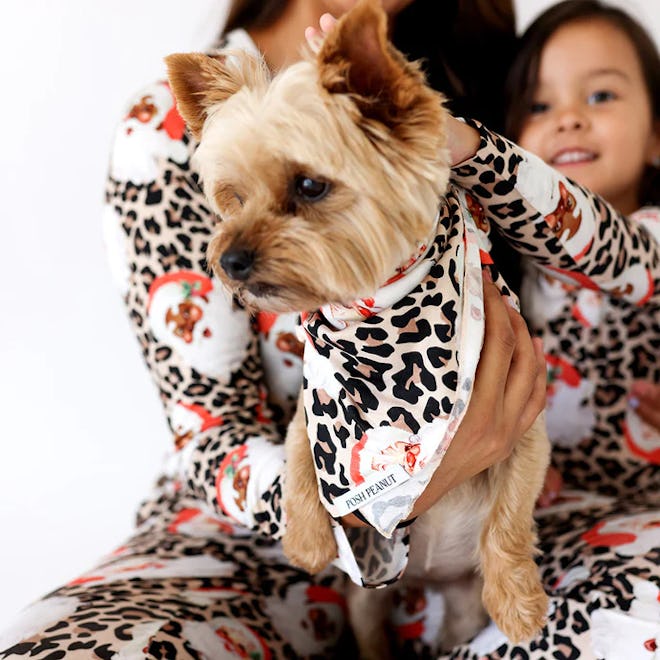 Posh Peanut matching dog and baby Christmas pajamas