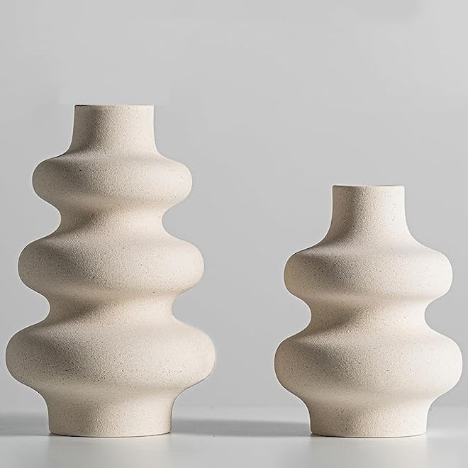 Steviieden Ceramic Vases (Set of 2)