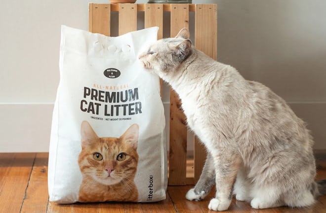 Premium Cat Litter for Litter-Robot Monthly Subscription