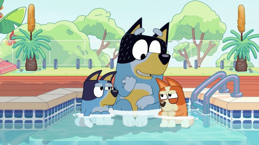 Bluey, Bandit, and Bingo huddled in a pool.