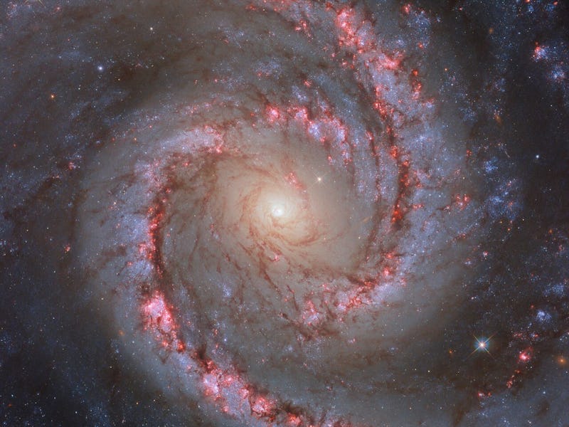 A spiral galaxy. The entire galaxy is displayed, centred and face-on to the viewer. It has two spira...