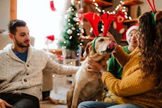 A family pets their dog while surrounded by holiday decor.