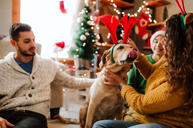A family pets their dog while surrounded by holiday decor.