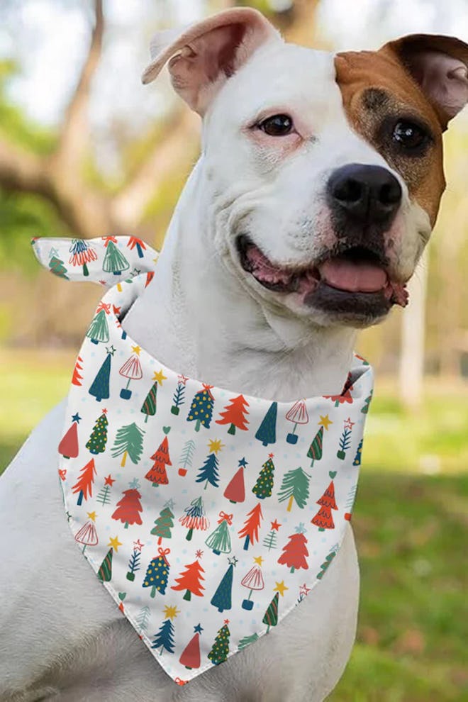 Christmas pet bandana, dog and baby matching christmas pajamas