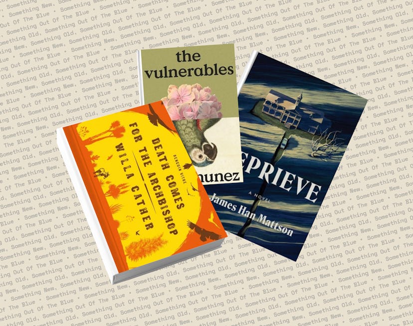 The covers of 'The Vulnerables' by Sigrid Nunez, 'Reprieve' by James han Mattson, and 'Death Comes f...