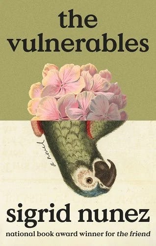 Cover of &lsquo;The Vulnerables.'