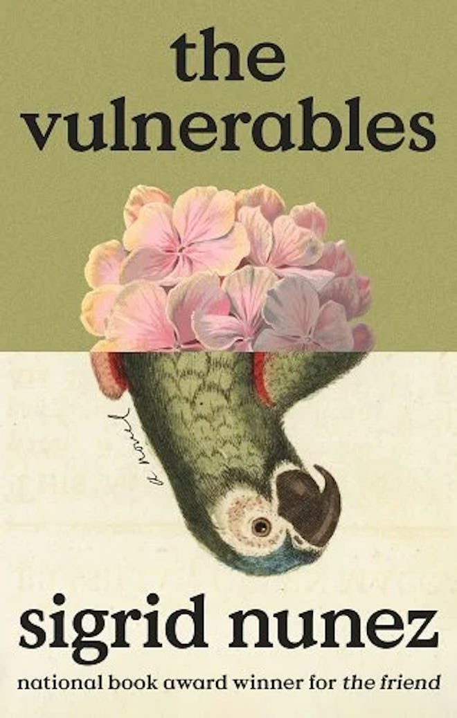 Cover of 'The Vulnerables.'