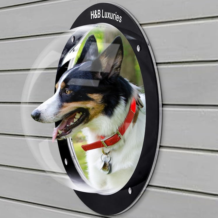 H&B Luxuries Durable Acrylic Dome Dog Window