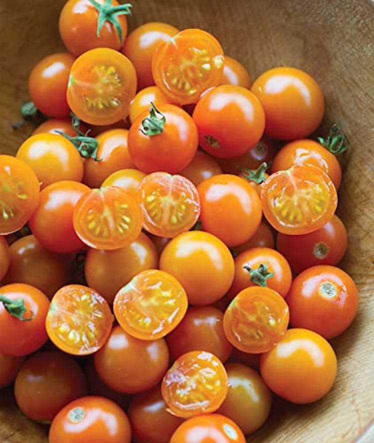 Burpee Sun Gold Hybrid Non-GMO Home Garden Seeds (30-Count)