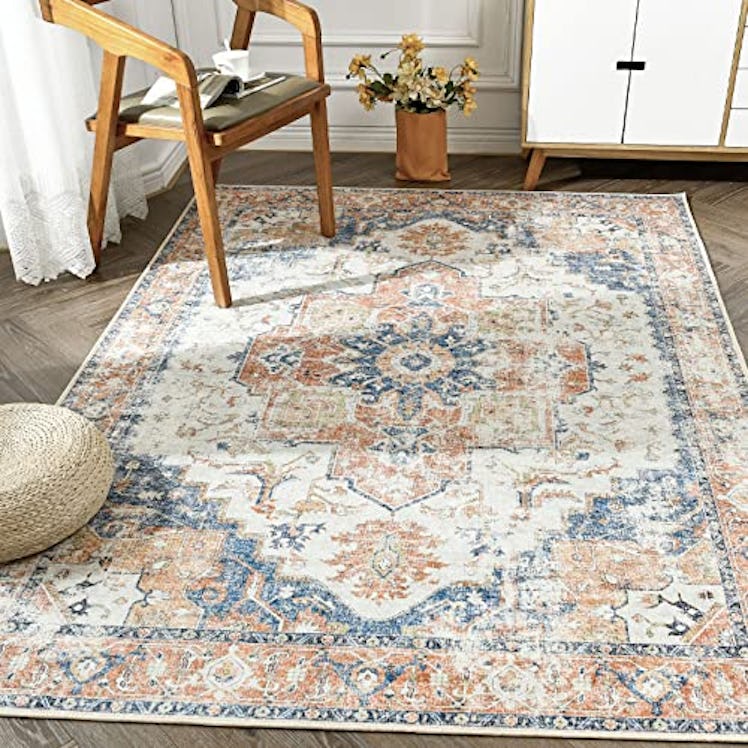 jinchan Vintage Look Area Rug (4x6)