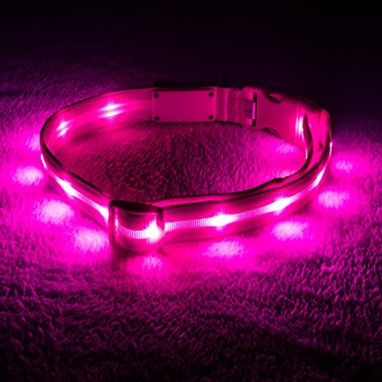 Blazin Light Up Dog Collar