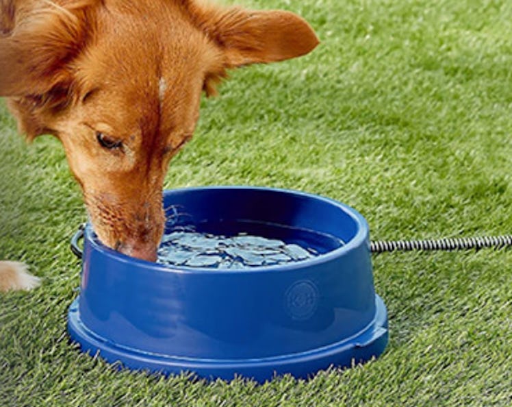 K&H Pet Products Thermal Heated Dog Bowl