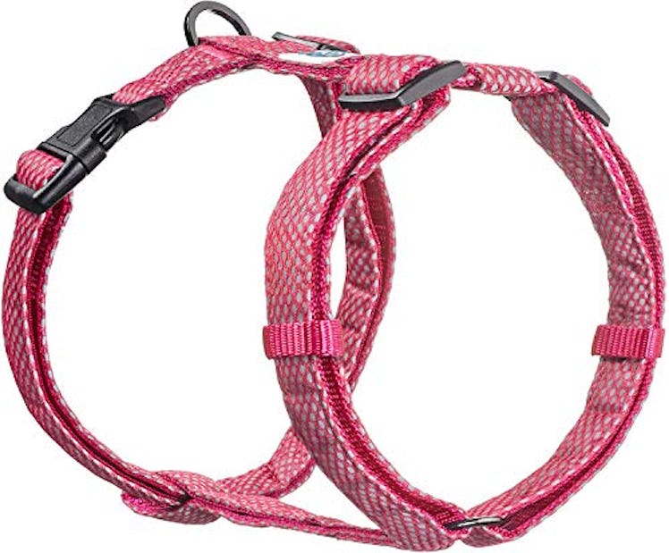 Embark Illuminate Reflective Dog Harness