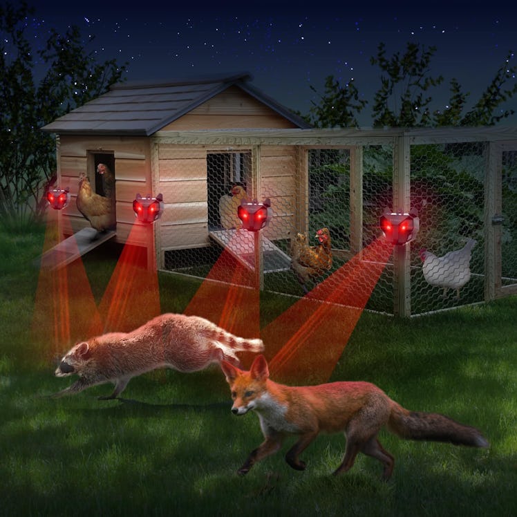 GEROSSI  Solar Nocturnal Animal Repeller (4-Pack)