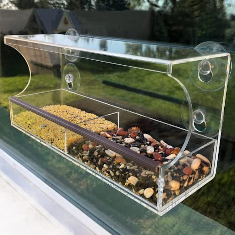 Go Simply Amazing Window Bird Feeder