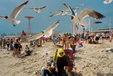 People on the beach at Coney Island with seagulls overhead