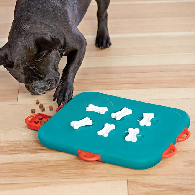 Outward Hound Interactive Treat Puzzle Dog Toy