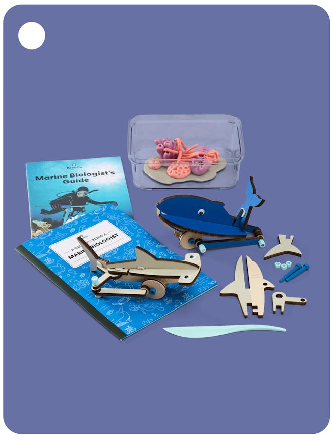 Marine Biologist Starter Kit (5+)