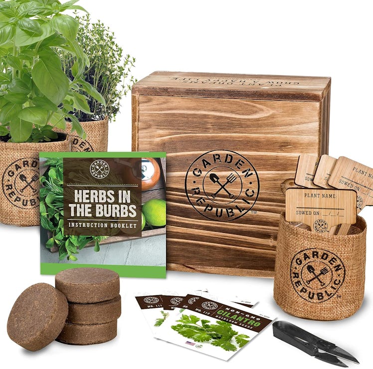 Garden Republic Indoor Herb Garden Starter Kit