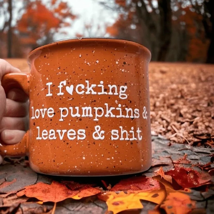 “I F*cking Love Pumpkins & Leaves & Shit” Campfire Mug