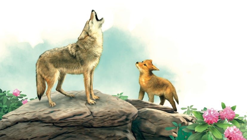 Auntie Coyote and Coyote Pup in 'Coyote's Wild Home.'