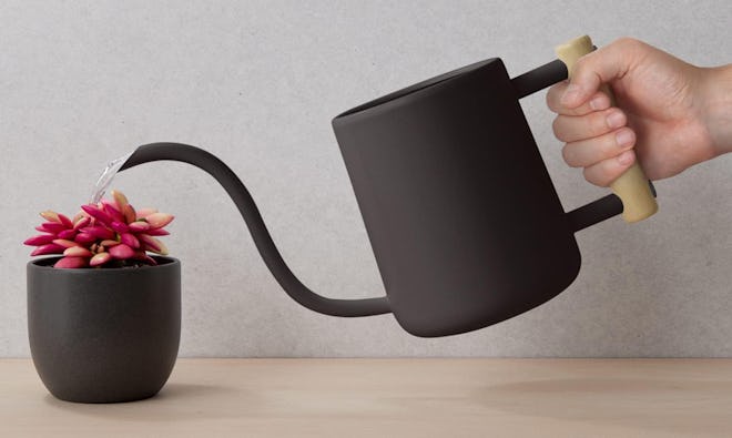 HB Design Watering Can
