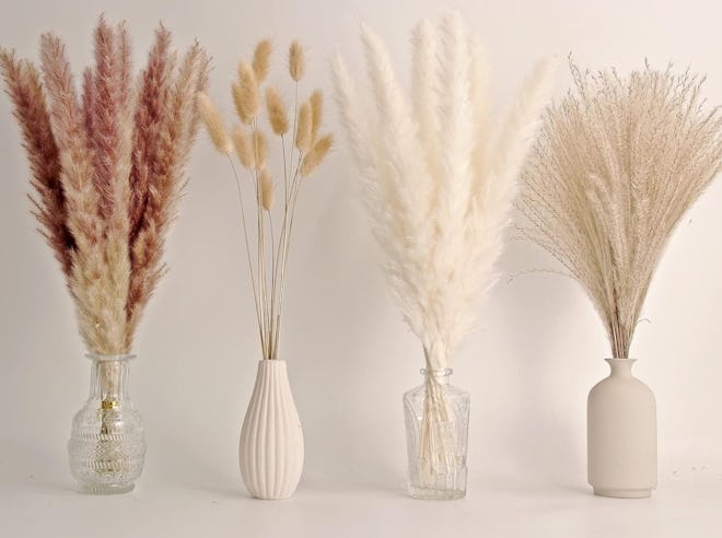 ANPROOR Pampas Grass (65-Pieces)