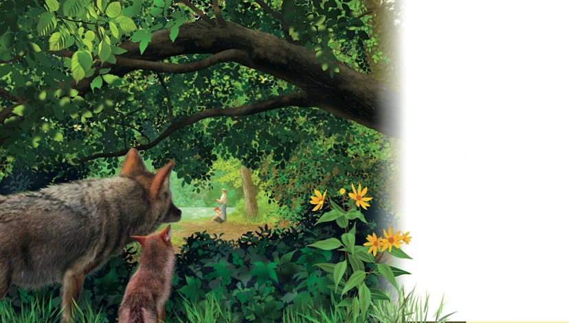 An interior image from 'Coyote's Wild Home,' illustrated by Paul Mirocha
