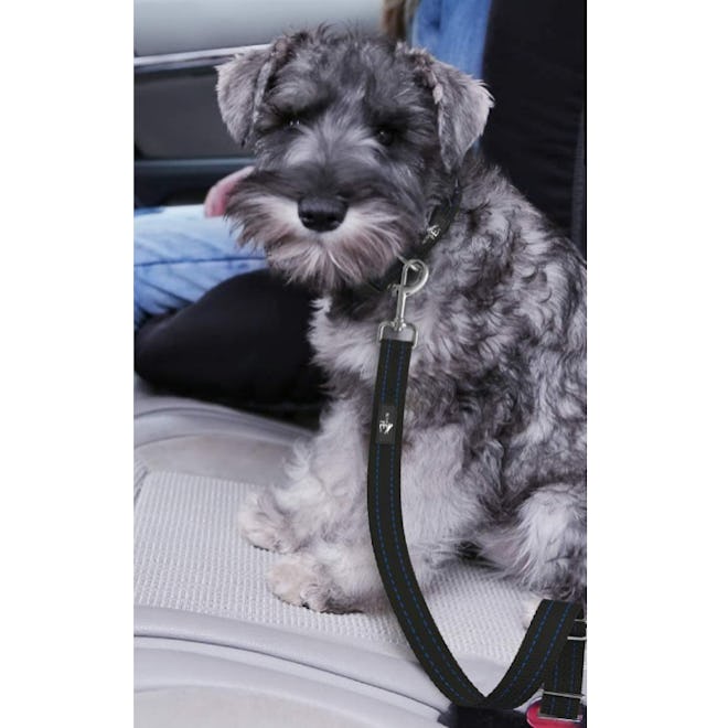 Active Pets Dog Car Harness