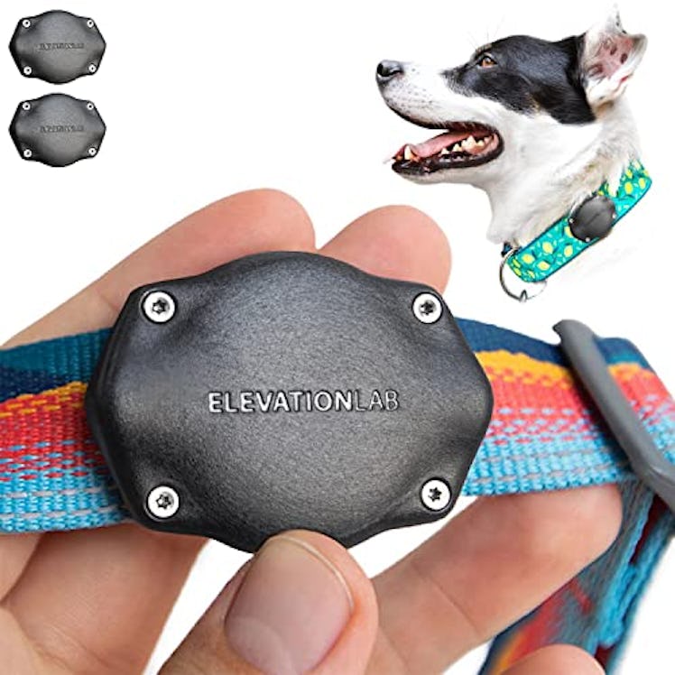 TagVault Pet (2-Pack)