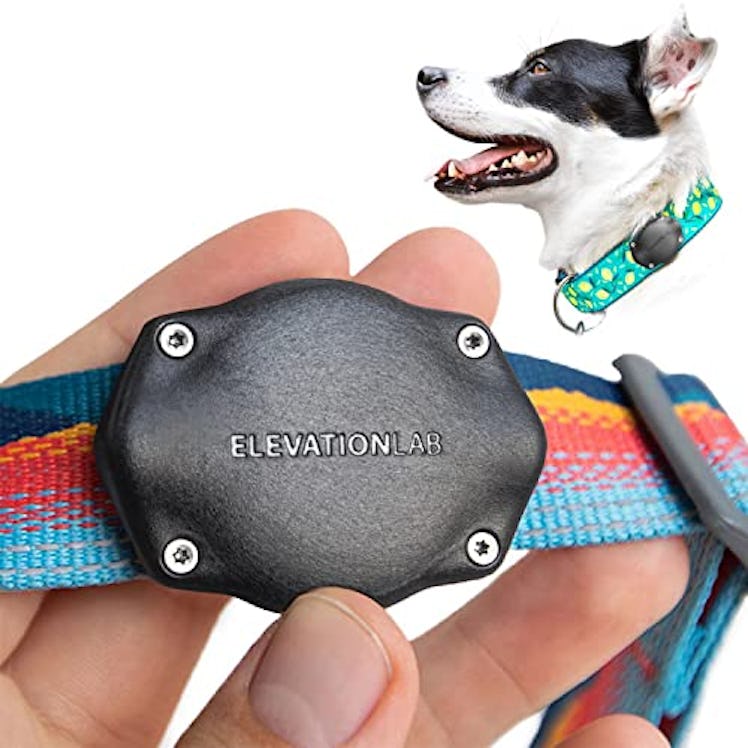 Elevation Lab TagVault AirTag Dog Collar Mount
