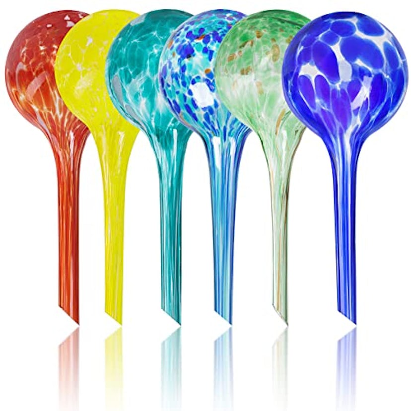 Miles Kimball Plant Watering Globes (Set Of 6)