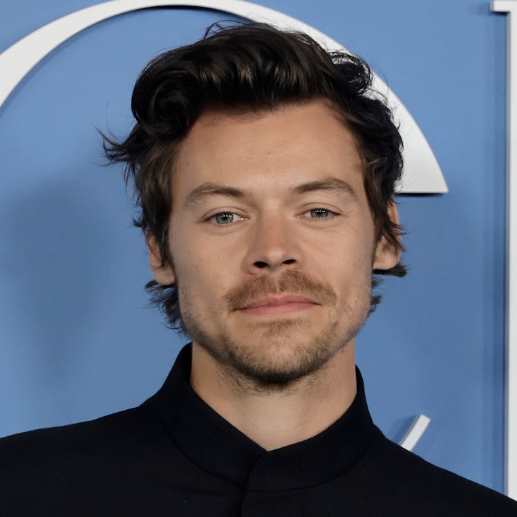 Harry Styles and his astrological compatibility with Taylor Russell, ranked.