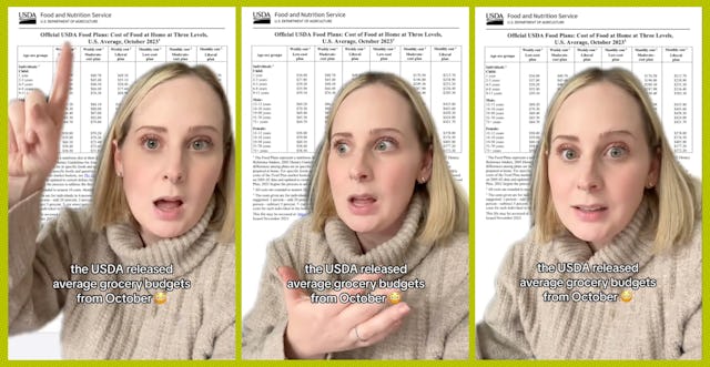 TikTok mom Sarah Biggers-Stewart vents about the USDA's average grocery costs for October 2023.