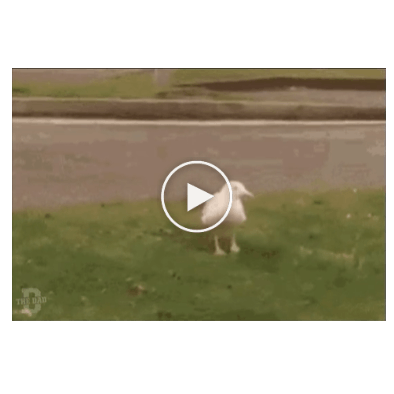 Are you sure you're sure?