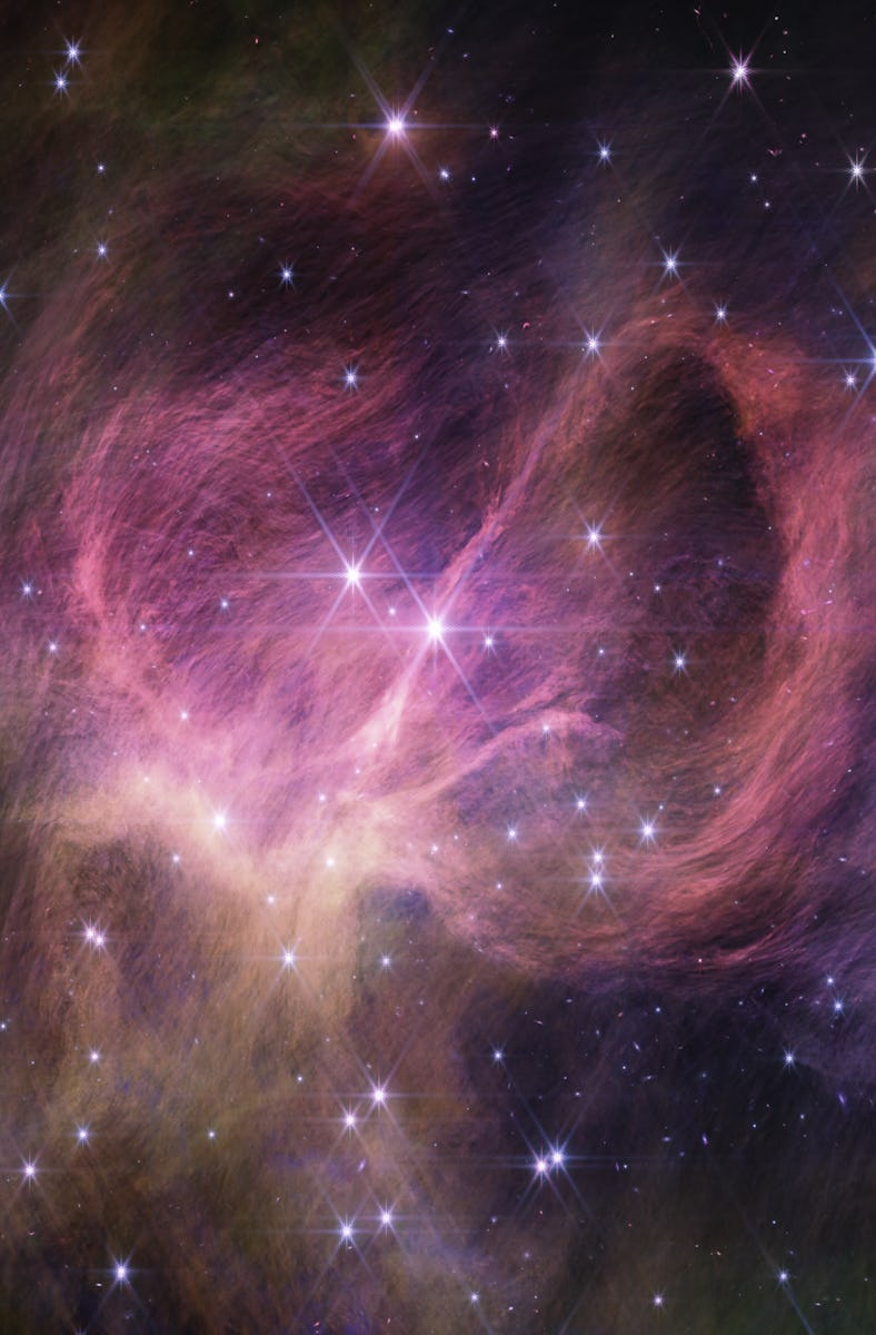 Wispy hair-like filaments of pink-purple fill the middle of the image, curving left and right on eit...