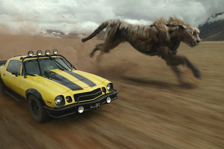 Bumblebee and Cheetor in 'Transformers: Rise of the Beasts'