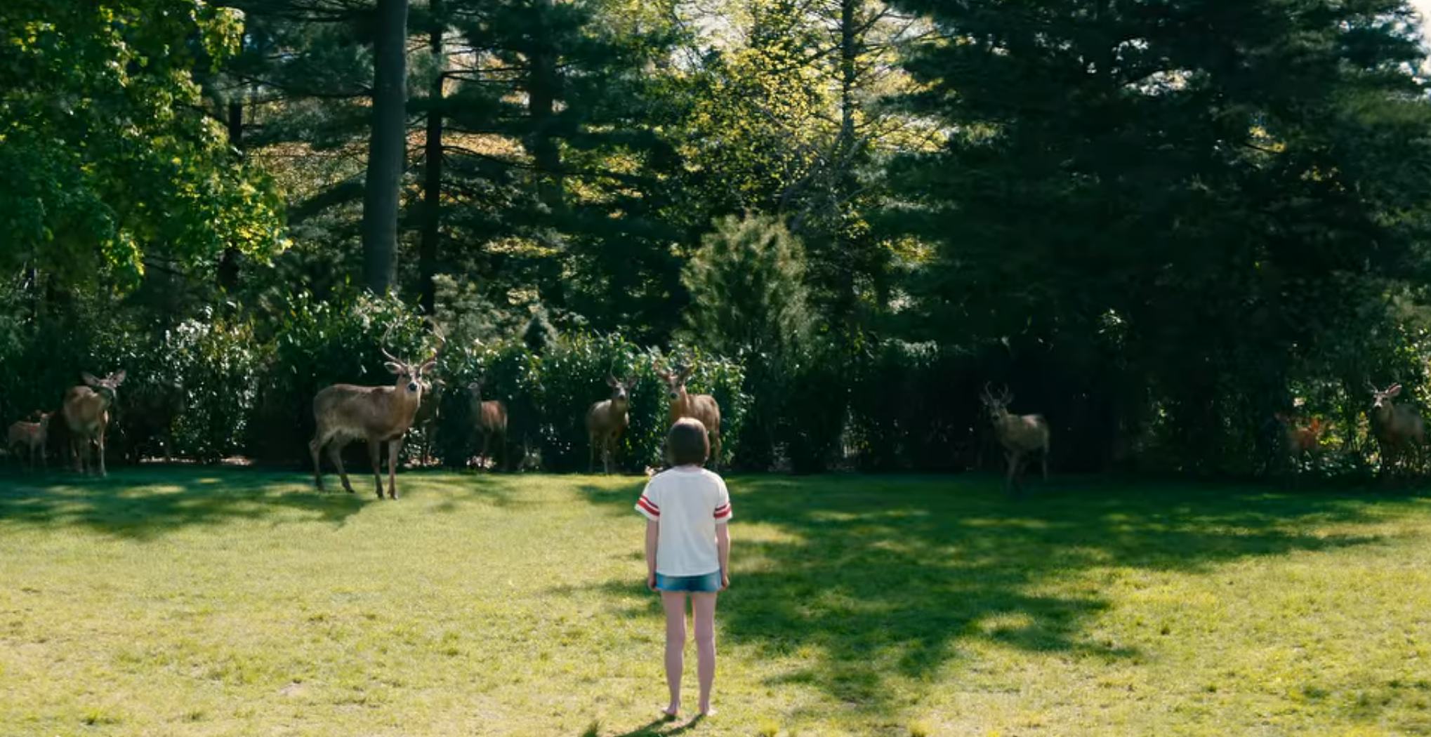 Deer in &lsquo;Leave the World Behind.&rsquo; Screenshot via Netflix