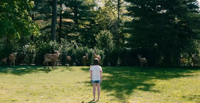 Deer in 'Leave the World Behind.' Screenshot via Netflix